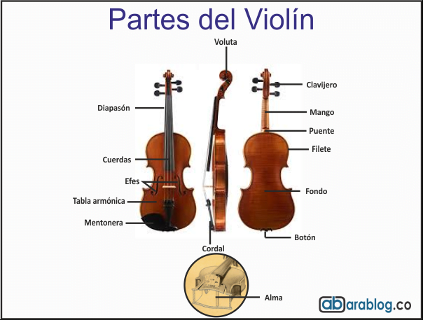 partes del violin