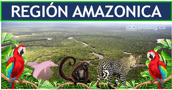 region amazonica de colombia